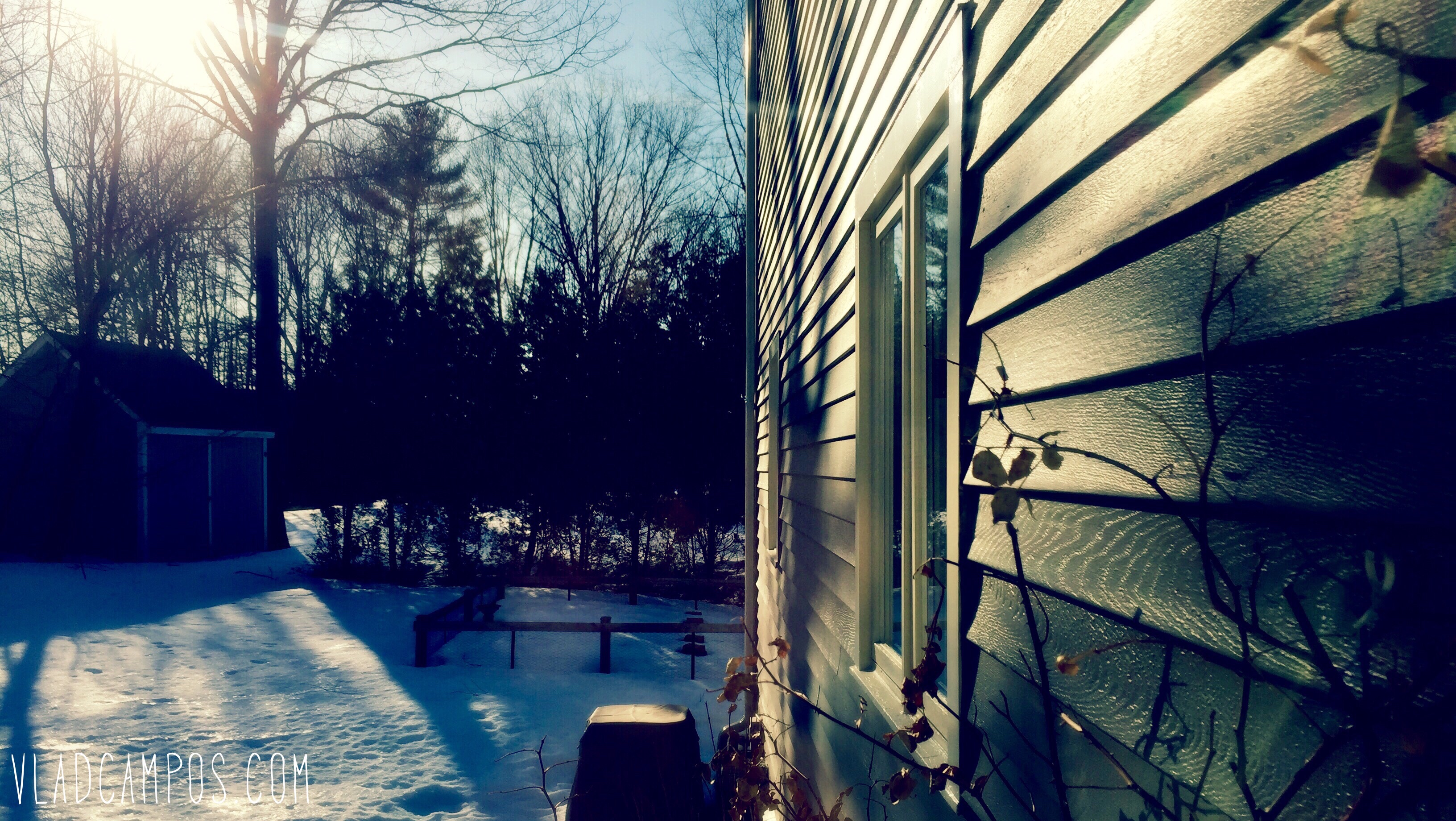 📷 Sunny Day.