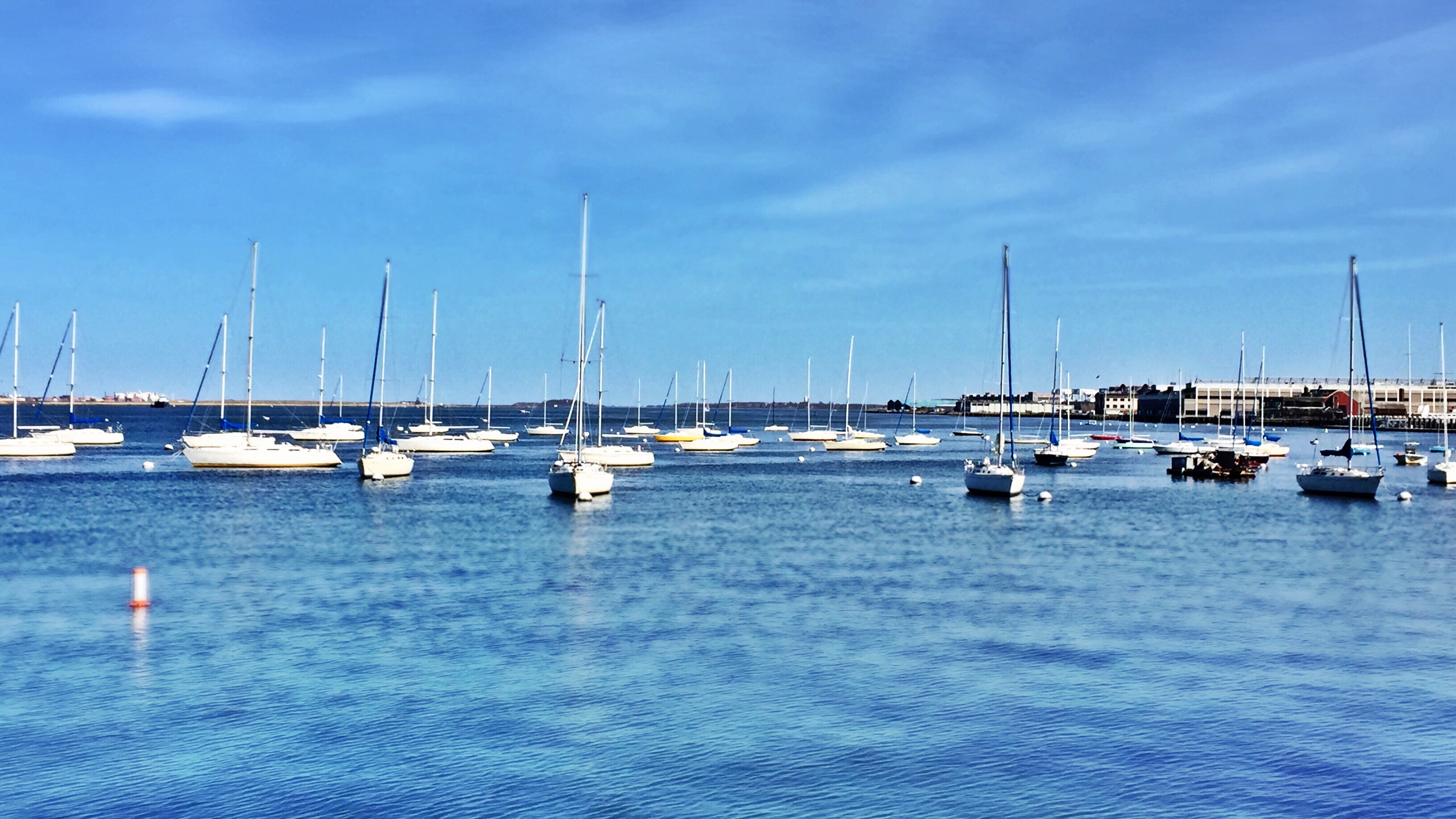 📷 New England Aquarium.
