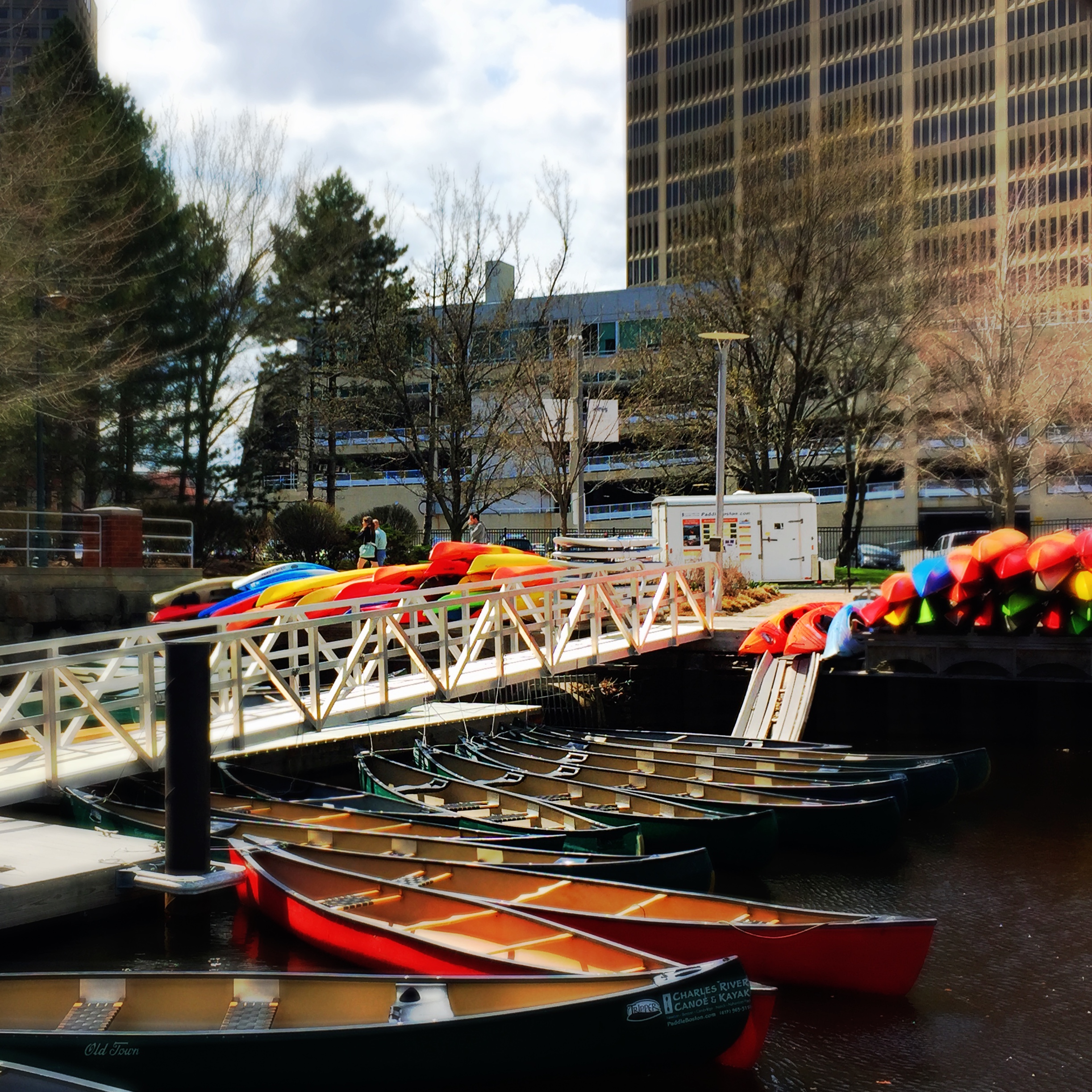 📷 Cambridge.