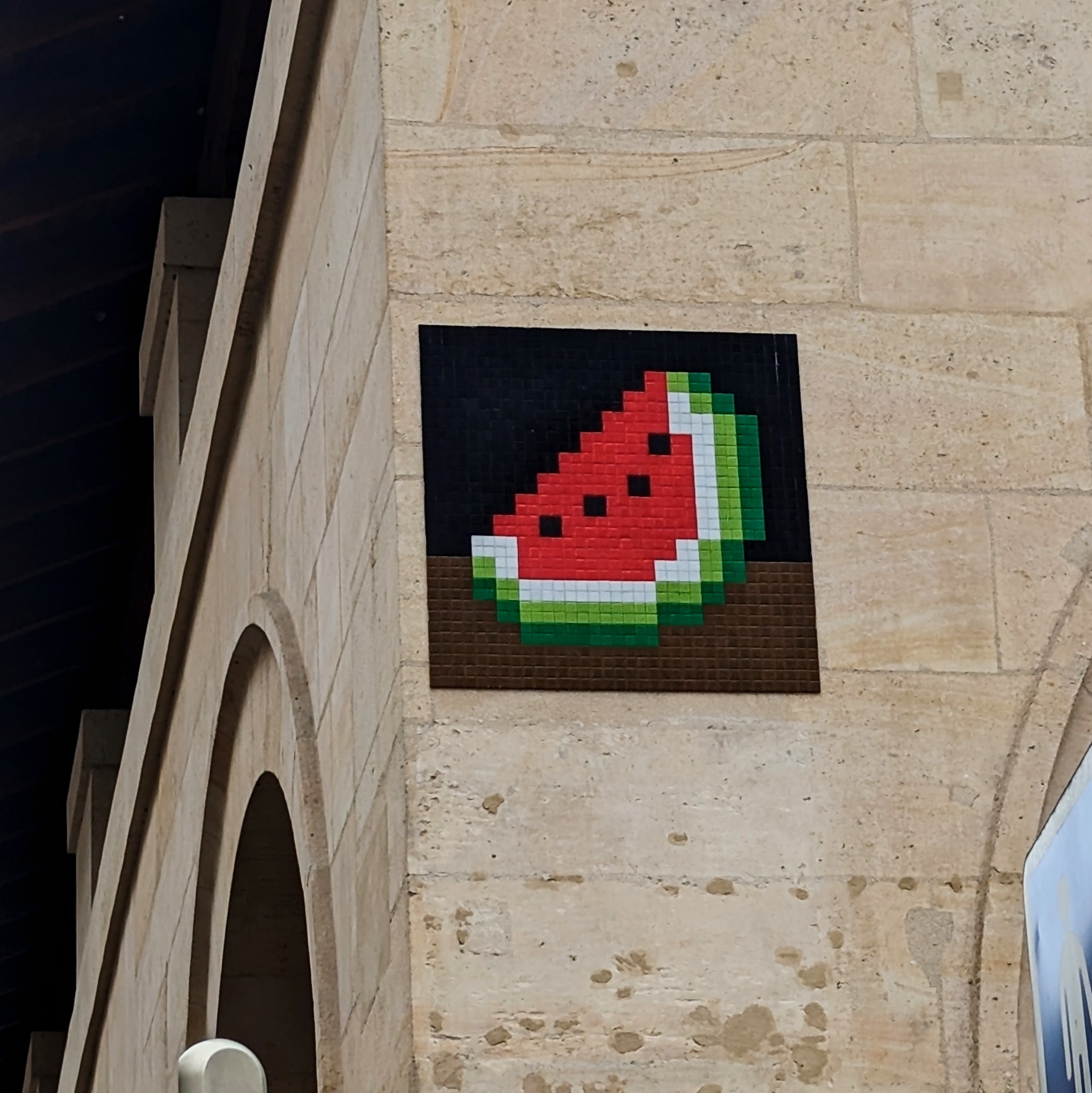 📷 Watermelon Invaders