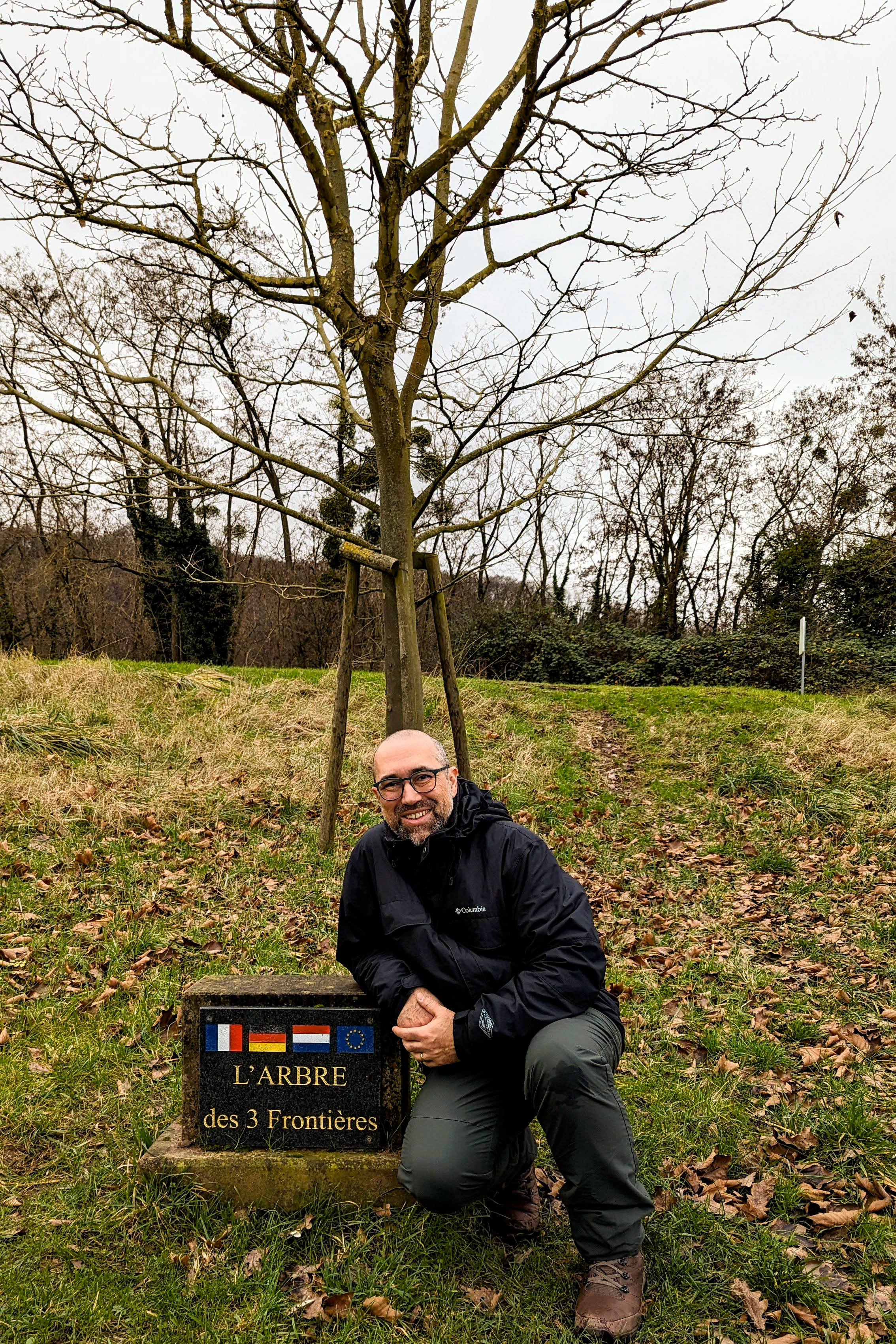 L'arbre des 3 Frontières