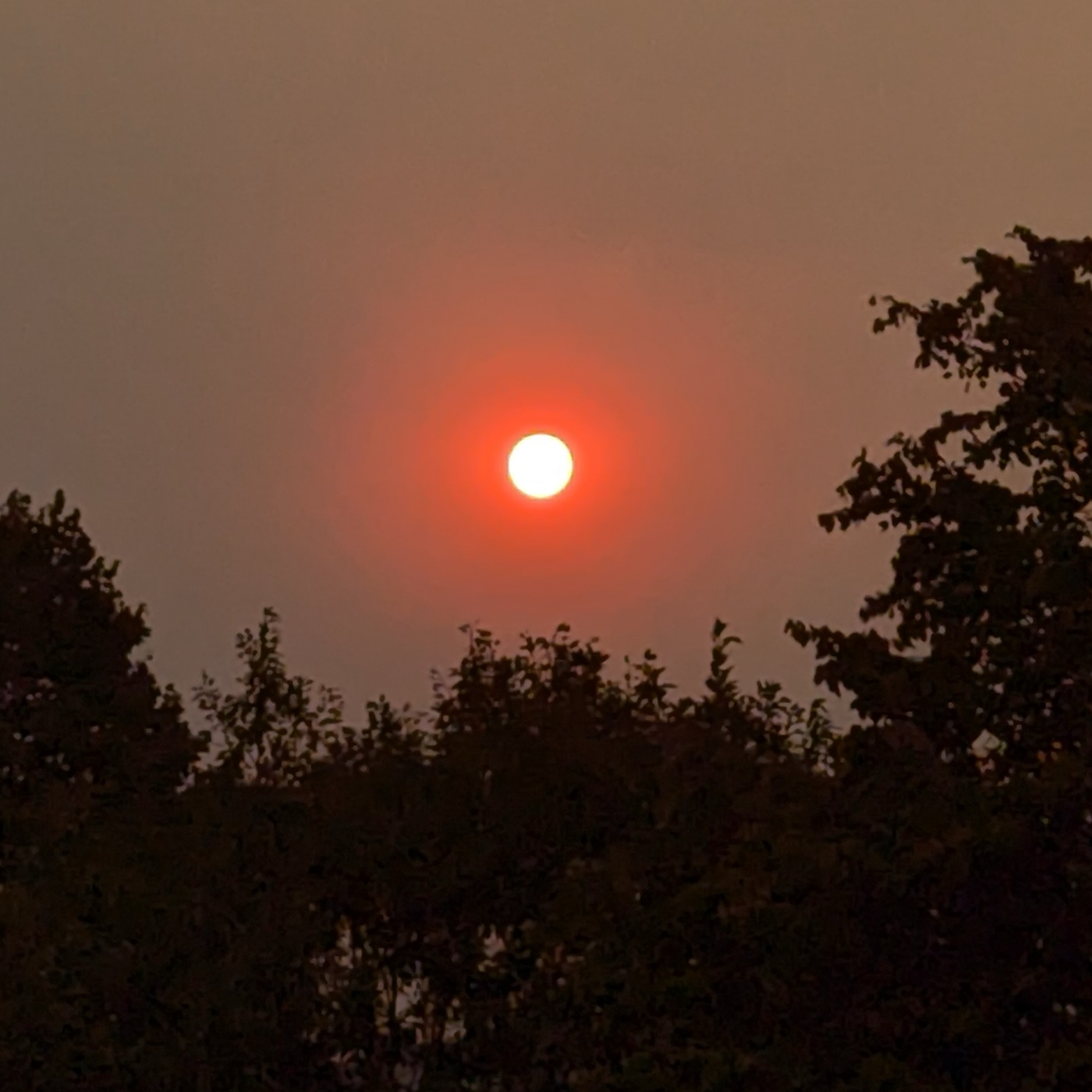 Wildfires in Portugal
