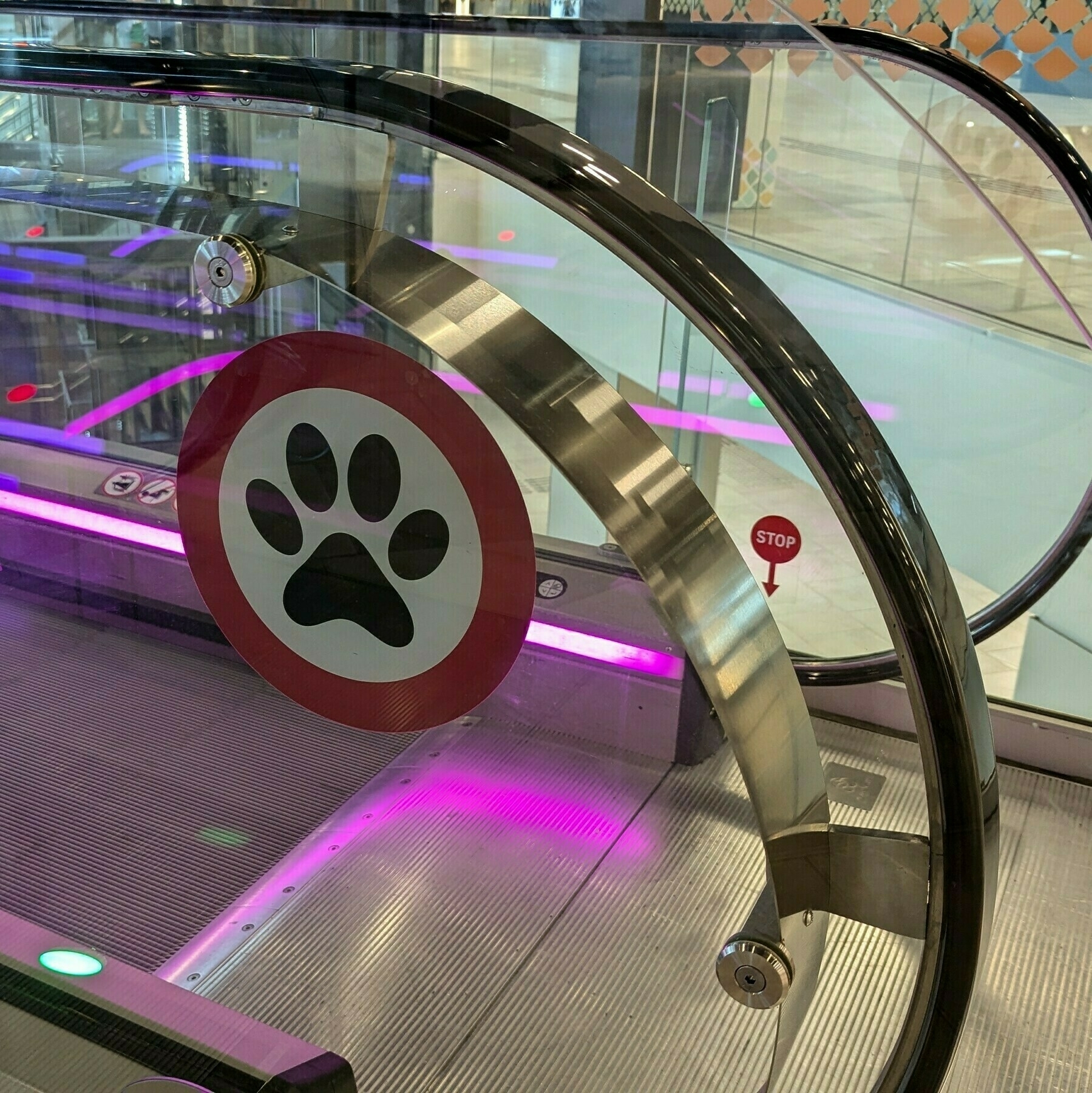 A shiny, modern escalator with a sign featuring a paw print, purple illuminated edges, and a distant red stop button.