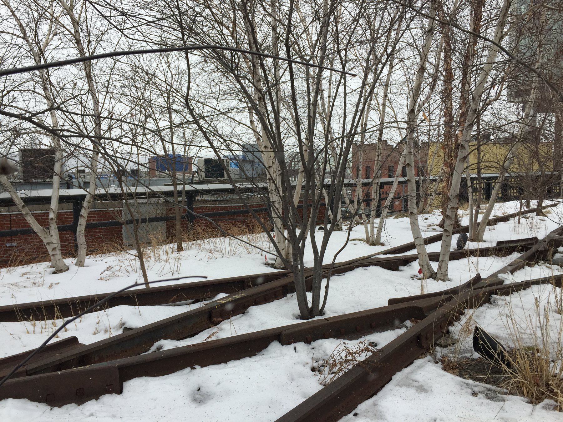 2015-03-01 12.33 High Line.jpg
